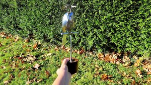 Rainbow Kingfisher (on wood)