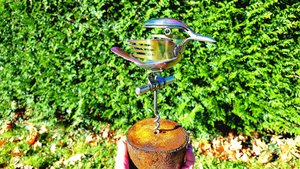 Rainbow Kingfisher (on wood)