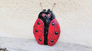 Red Ladybird