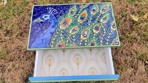Peacock Bedside Table (with draw)
