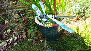 Dragonflies&nbsp;on Short Rods
