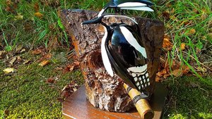 Large Spotted Woodpecker (on tree) (SOLD)