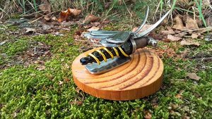 Bee on Wood (OUT OF STOCK)