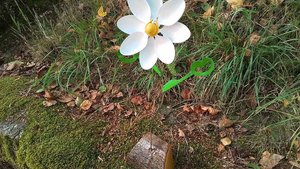 Dancing Daisy (MADE TO ORDER) 