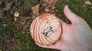 Bee on Wood (OUT OF STOCK)