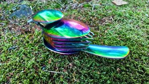 Rainbow Birds (LIMITED EDITION) (MADE TO ORDER)