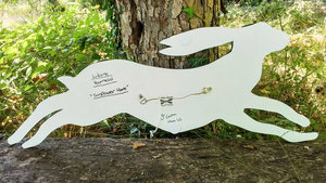 Large Sunflower Hare