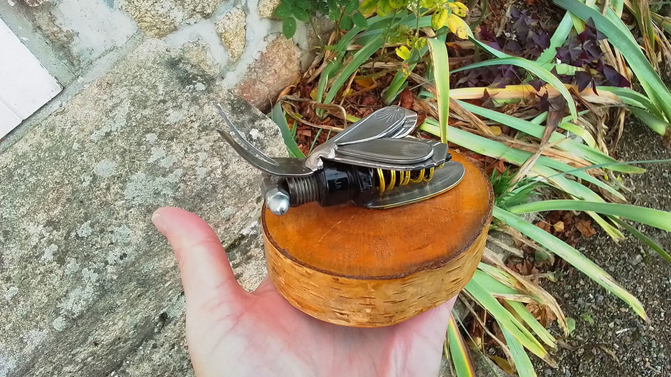 Bee on Natural Wood