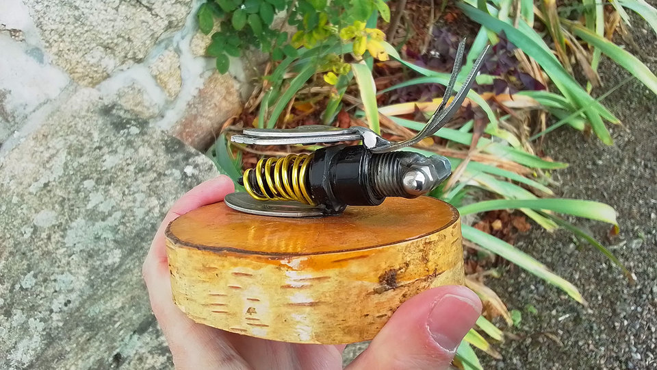 Bee on Natural Wood