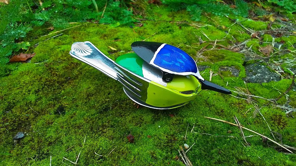 Blue-Tit Birds