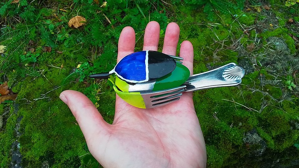 Blue-Tit Birds