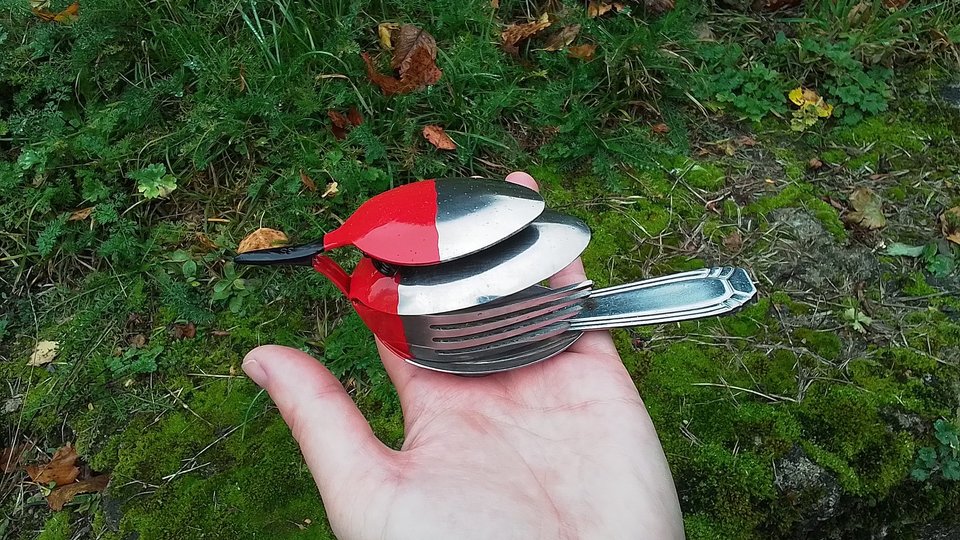 Robin Birds