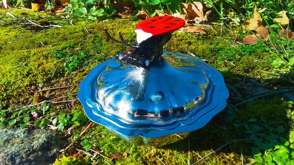 Ladybird on Pot
