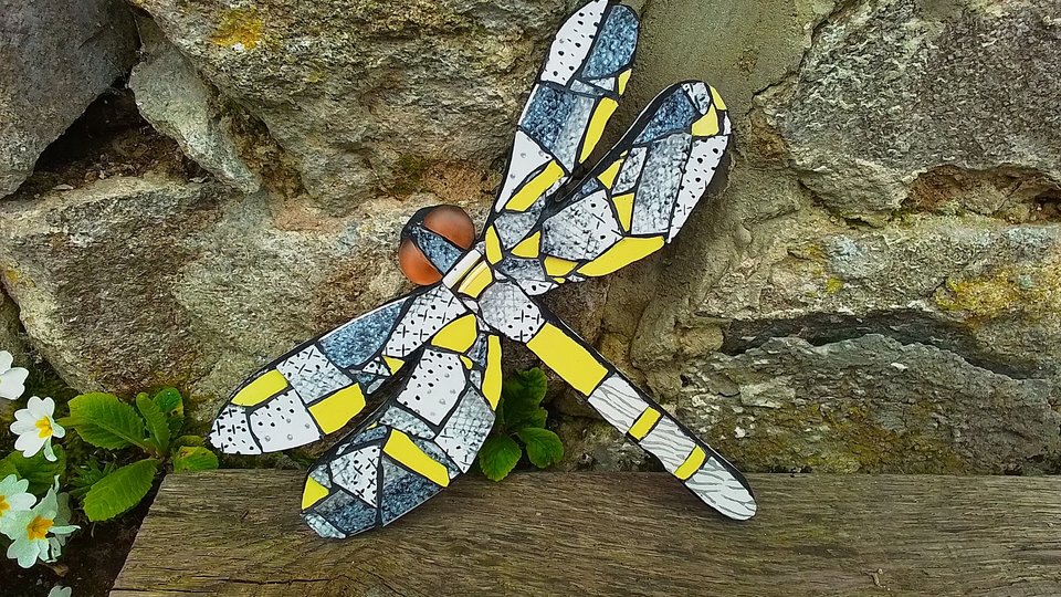 Yellow & Grey Mottled Dragonfly