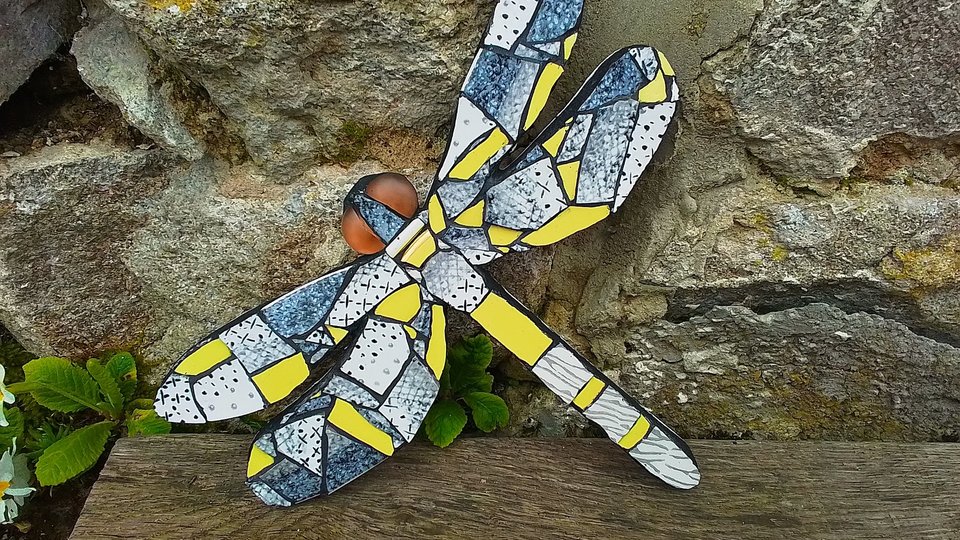 Yellow & Grey Mottled Dragonfly