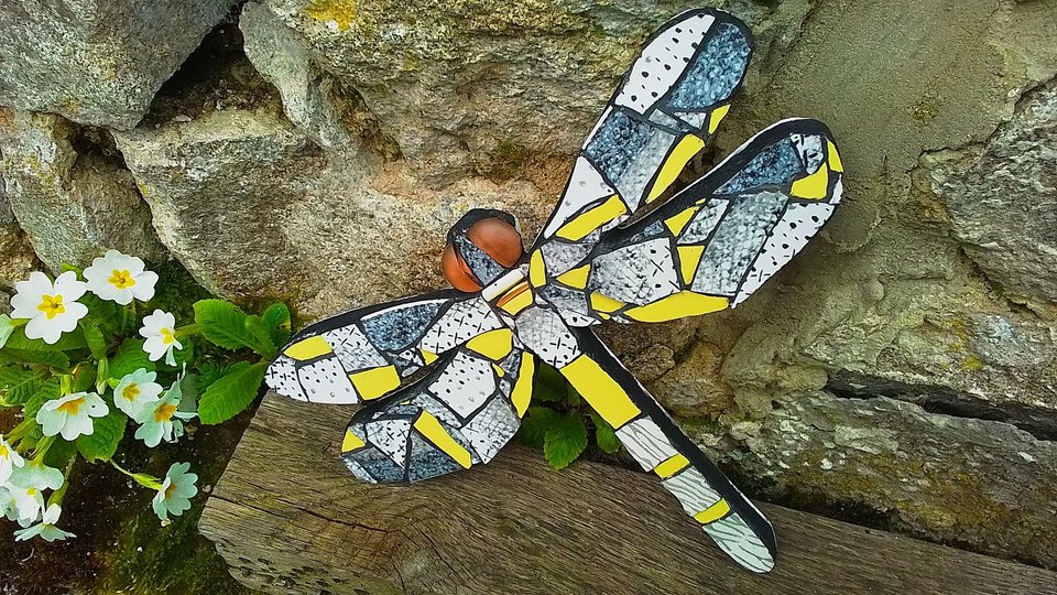 Yellow & Grey Mottled Dragonfly