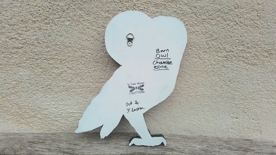 Large Barn Owl (golden moon)