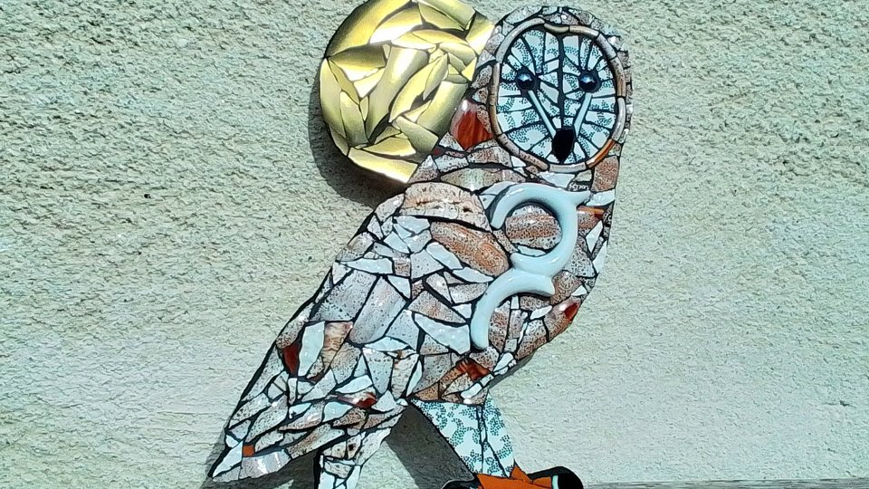 Large Barred Owl (golden moon)