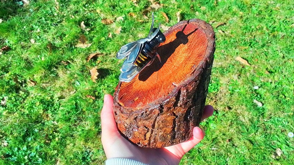 Bee on Natural Wood Slice