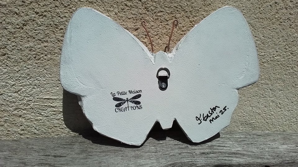 Blue & White Chinese Flowers Butterfly 