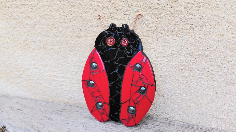 Red Ladybird 