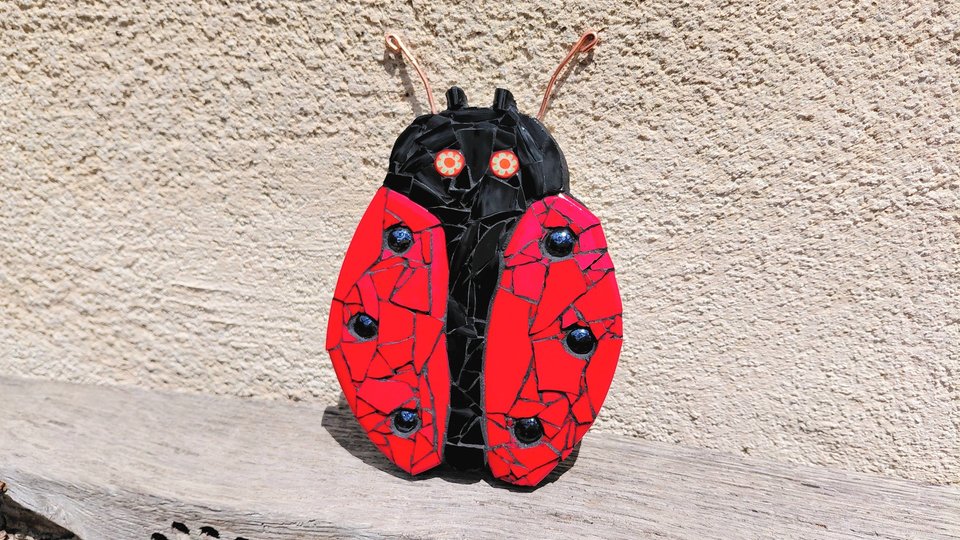 Red Ladybird