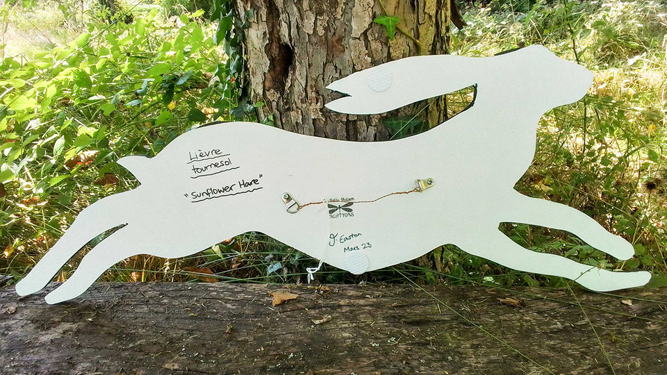 Large Sunflower Hare