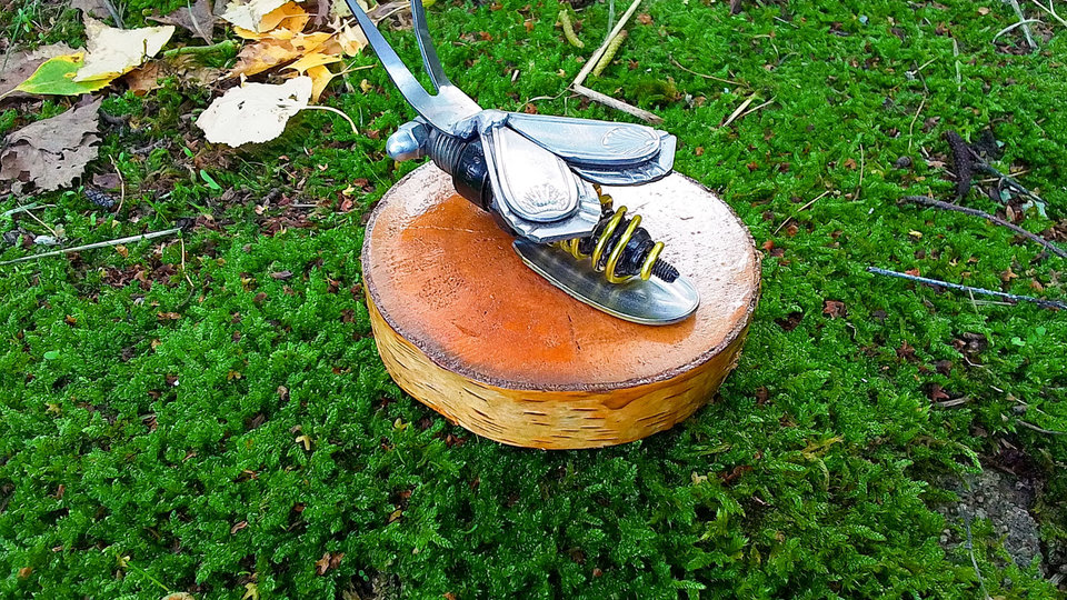 Bee on Natural Wood