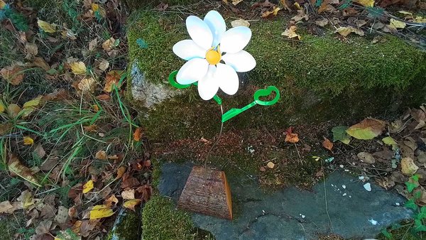 Dancing Daisy (MADE TO ORDER) 