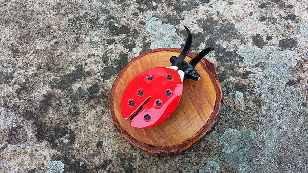 Ladybird on Natural Wood