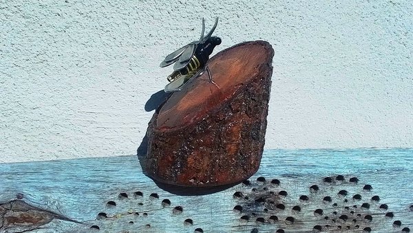 Bee on Natural Wood Slice