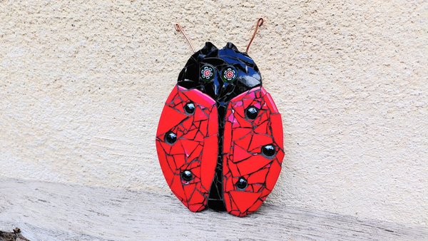 Red Ladybird