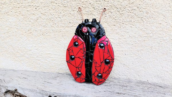 Red Ladybird